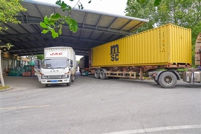 Busy Season: Shipping Warehouse Operations in Full Swing
