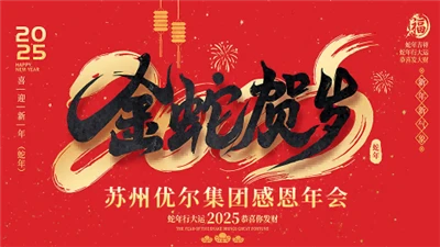 Golden Snake New Year - 2025 Annual Meeting Of Youi Group