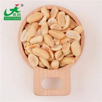 salted peanuts wholesale with good price